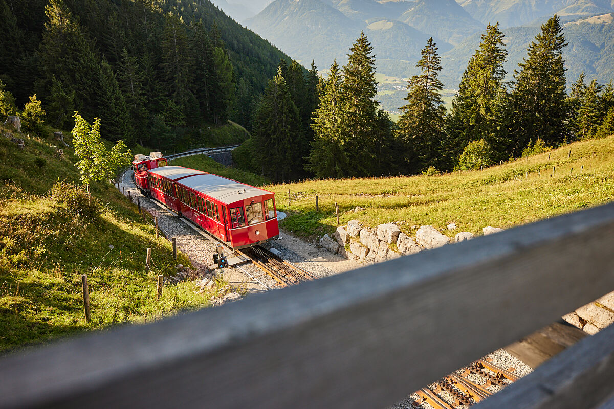 Die SchafbergBahn kurz vor der Station Schafbergalm