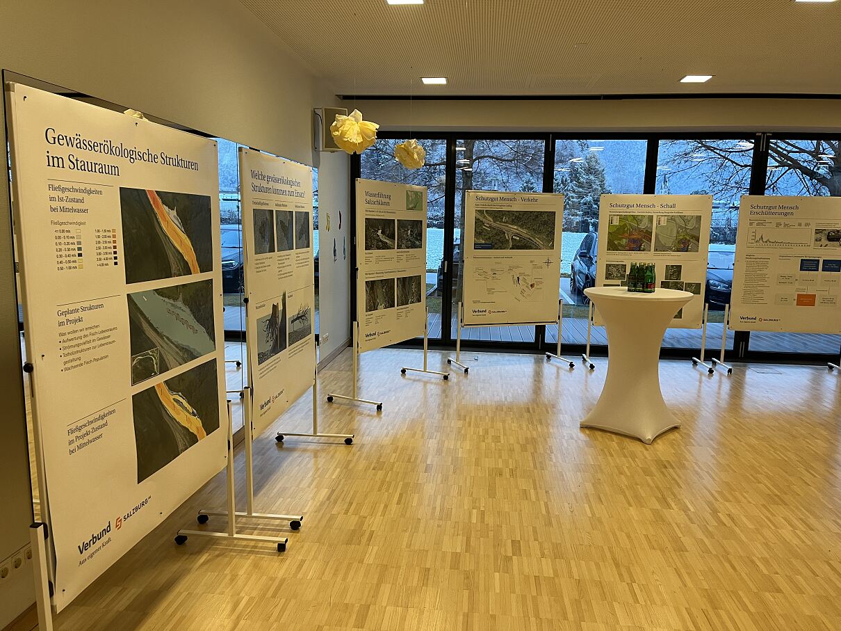 3 Energiedialog in Golling